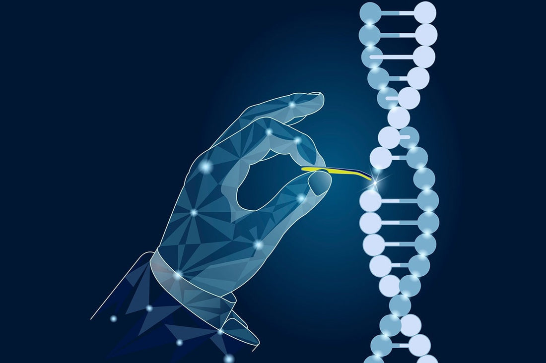 Biotechnology Breakthroughs: How CRISPR is Shaping the Future of Medicine